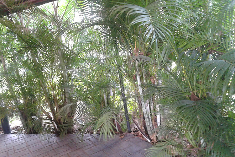 Golden Palm Garden World Nigeria