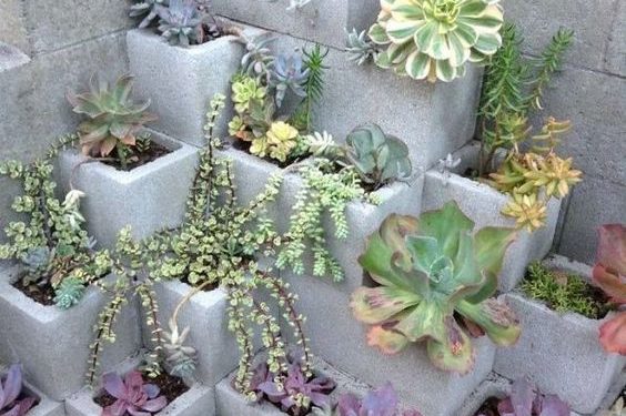 Urban Gardening Ideas~ Cement blocks – Garden World Nigeria