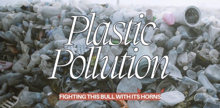 Lagos state bans styrofoam 2024