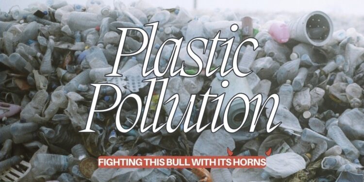 Lagos state bans styrofoam 2024